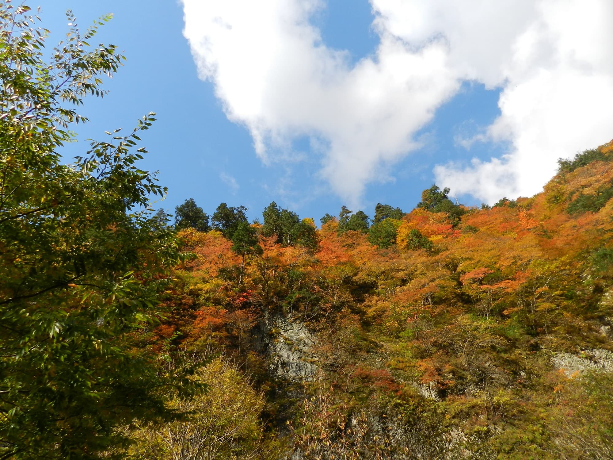 Maki Valley
