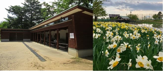 横沢公園