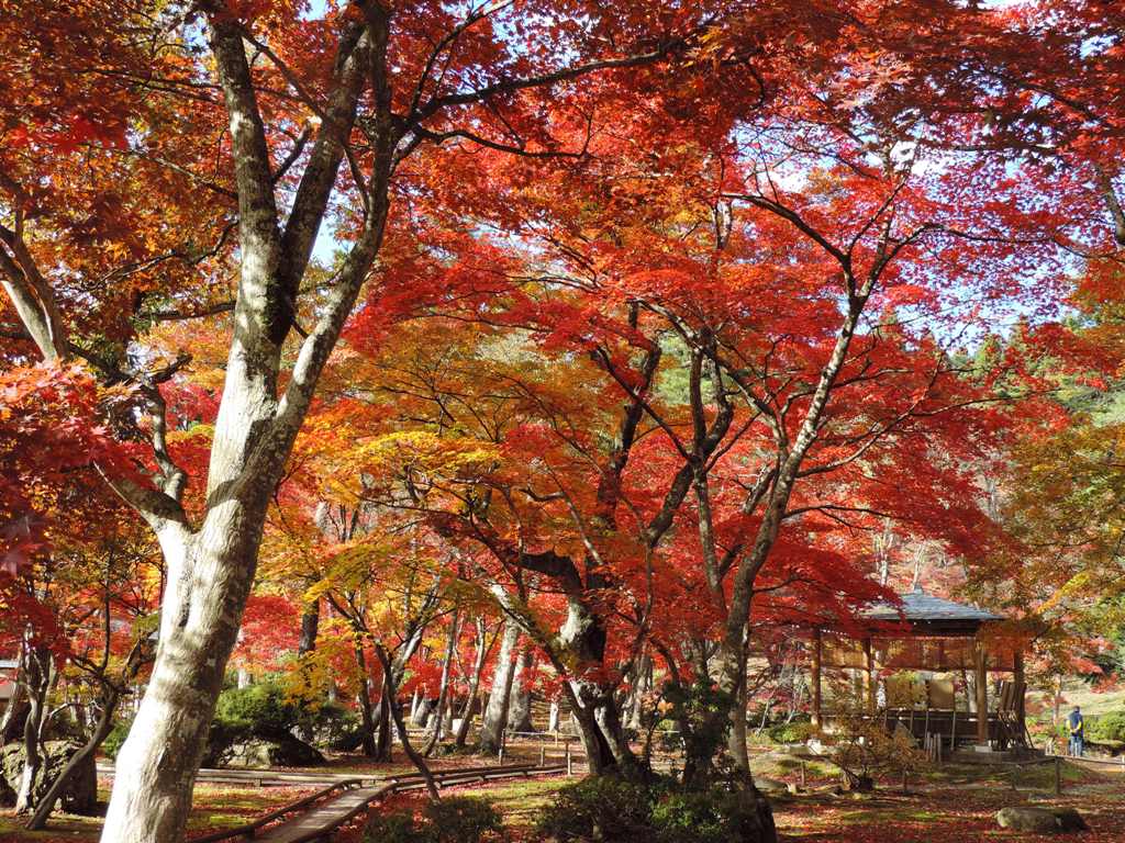 国指定名勝 旧池田氏庭園払田分家庭園