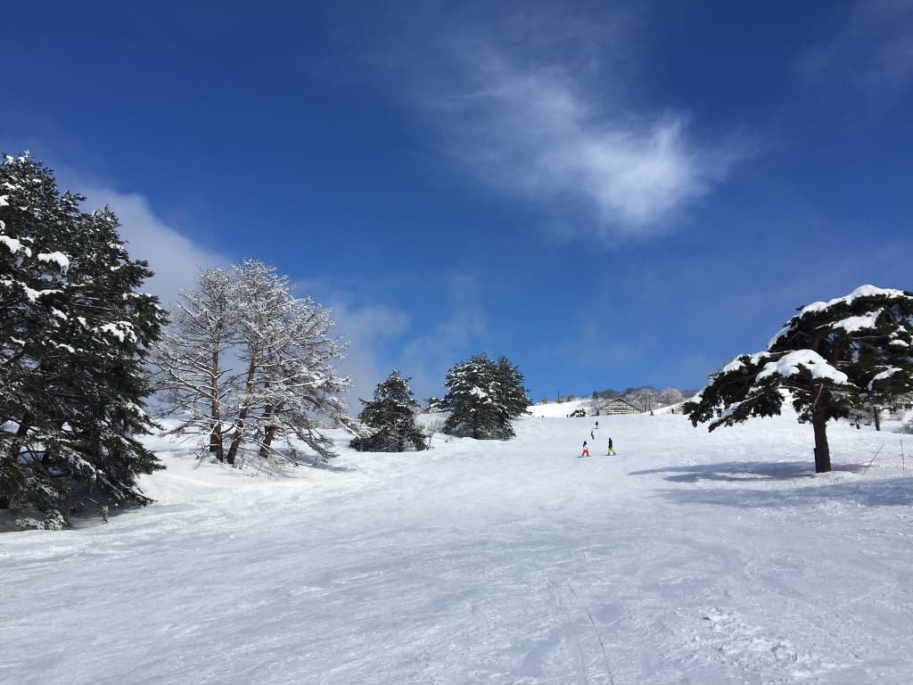 協和スキー場