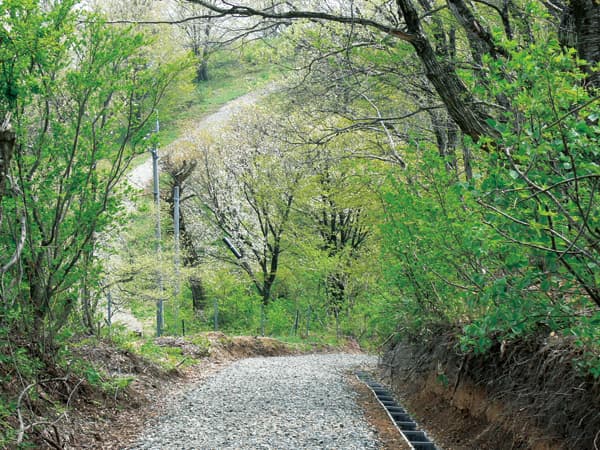 Kuromoriyama Trail