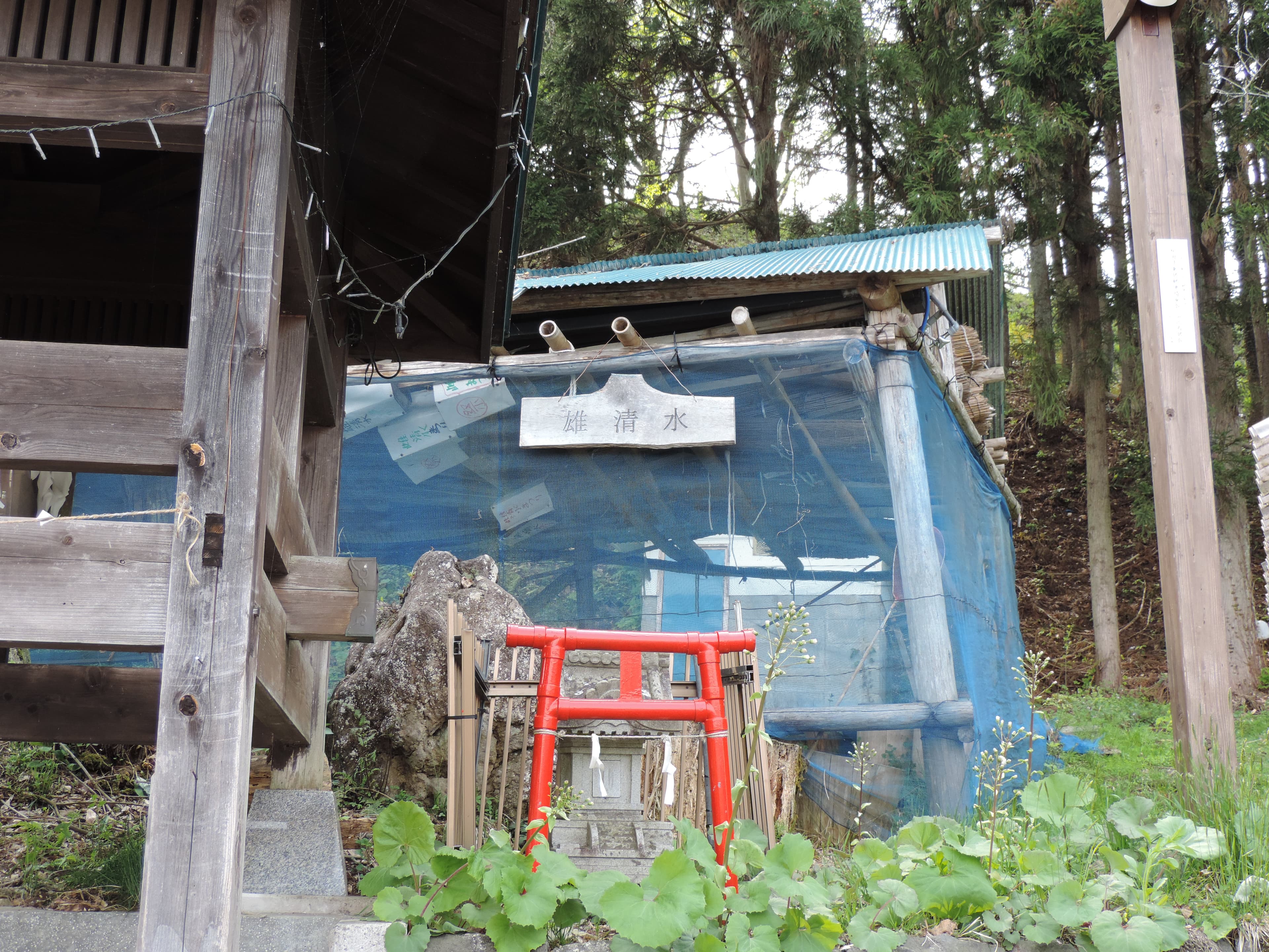 Oshimizu and Meshimizu