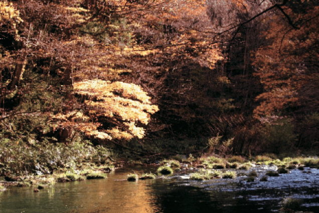Okawamae Gorge